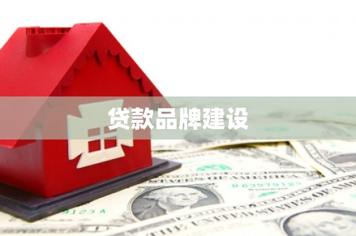 狮潭贷款品牌建设