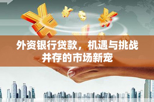 狮潭外资银行贷款，机遇与挑战并存的市场新宠