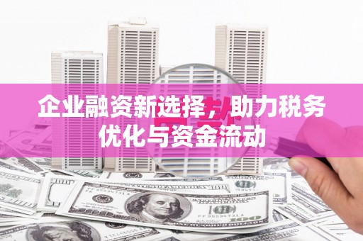 狮潭企业融资新选择，助力税务优化与资金流动