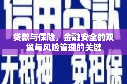 狮潭贷款与保险，金融安全的双翼与风险管理的关键