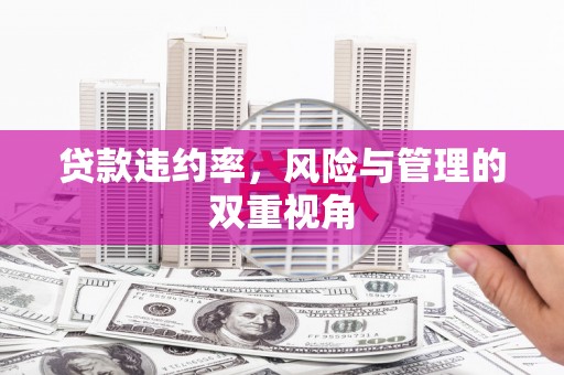 狮潭贷款违约率，风险与管理的双重视角