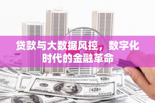 狮潭贷款与大数据风控，数字化时代的金融革命