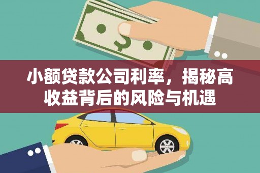 狮潭小额贷款公司利率，揭秘高收益背后的风险与机遇