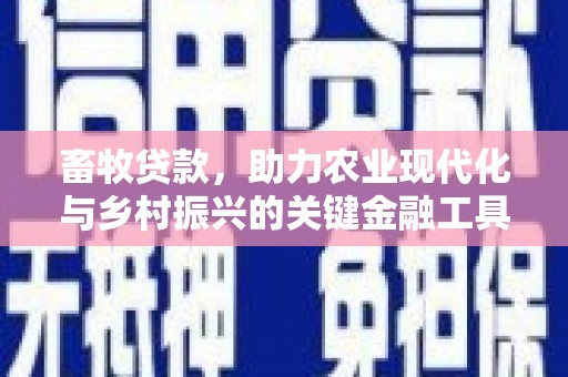 狮潭畜牧贷款，助力农业现代化与乡村振兴的关键金融工具
