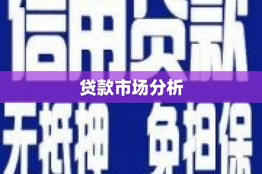 狮潭贷款市场分析