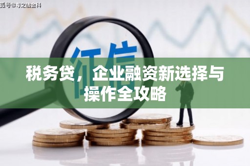 狮潭税务贷，企业融资新选择与操作全攻略