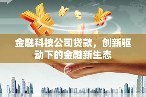 狮潭金融科技公司贷款，创新驱动下的金融新生态