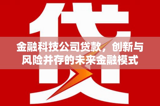 狮潭金融科技公司贷款，创新与风险并存的未来金融模式
