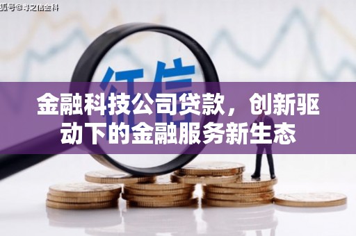 狮潭金融科技公司贷款，创新驱动下的金融服务新生态