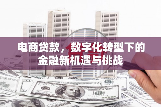 狮潭电商贷款，数字化转型下的金融新机遇与挑战
