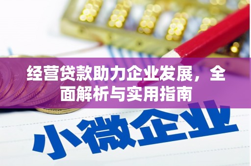 狮潭经营贷款助力企业发展，全面解析与实用指南