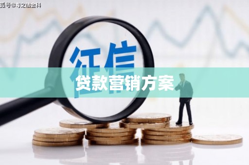 狮潭贷款营销方案