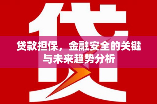 狮潭贷款担保，金融安全的关键与未来趋势分析