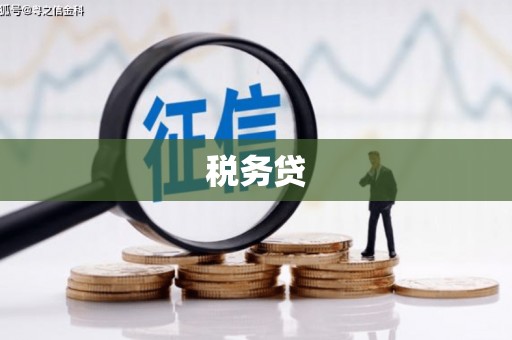 狮潭税务贷