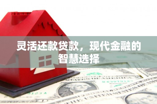 狮潭灵活还款贷款，现代金融的智慧选择