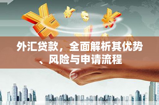 狮潭外汇贷款，全面解析其优势、风险与申请流程