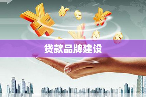 狮潭贷款品牌建设