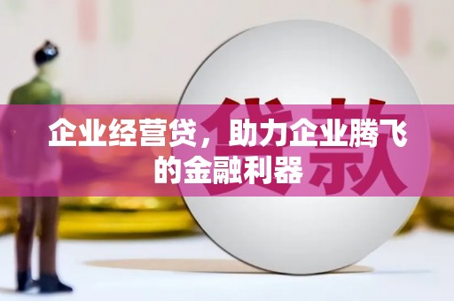 狮潭企业经营贷，助力企业腾飞的金融利器