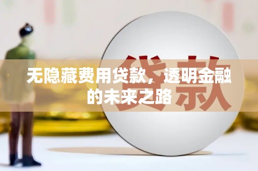 狮潭无隐藏费用贷款，透明金融的未来之路