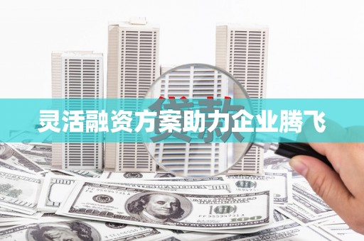 狮潭灵活融资方案助力企业腾飞