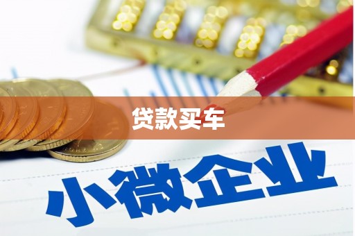狮潭贷款买车