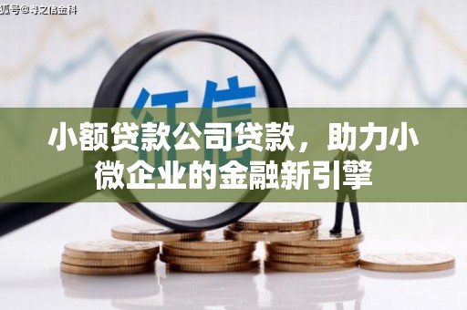 狮潭小额贷款公司贷款，助力小微企业的金融新引擎
