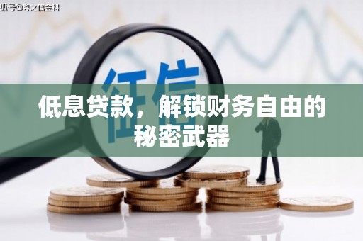 狮潭低息贷款，解锁财务自由的秘密武器