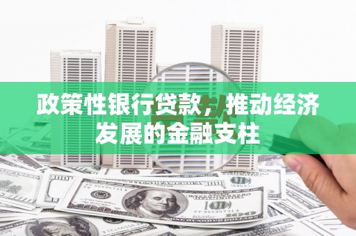 狮潭政策性银行贷款，推动经济发展的金融支柱