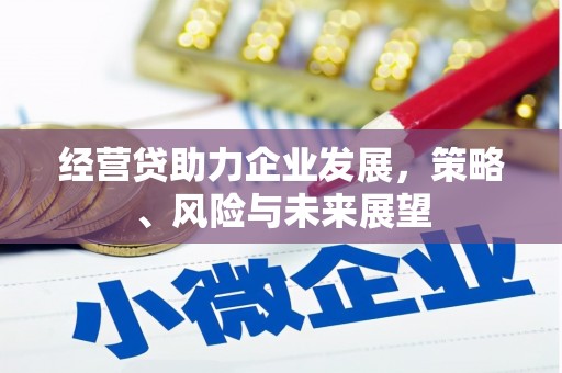狮潭经营贷助力企业发展，策略、风险与未来展望
