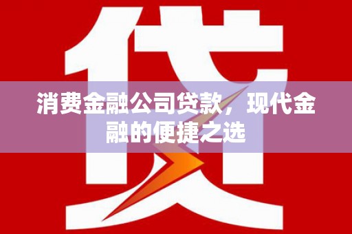狮潭消费金融公司贷款，现代金融的便捷之选
