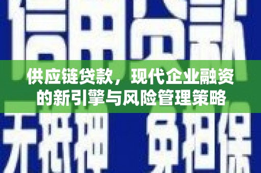 狮潭供应链贷款，现代企业融资的新引擎与风险管理策略