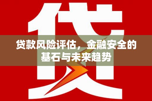 狮潭贷款风险评估，金融安全的基石与未来趋势