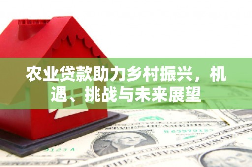 狮潭农业贷款助力乡村振兴，机遇、挑战与未来展望