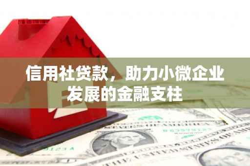 狮潭信用社贷款，助力小微企业发展的金融支柱
