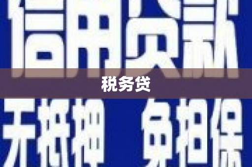 狮潭税务贷
