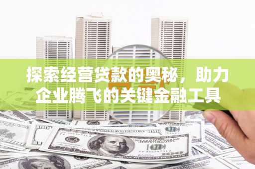 狮潭探索经营贷款的奥秘，助力企业腾飞的关键金融工具