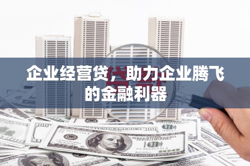 狮潭企业经营贷，助力企业腾飞的金融利器