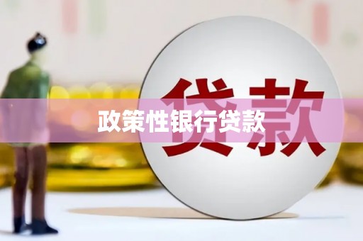 狮潭政策性银行贷款
