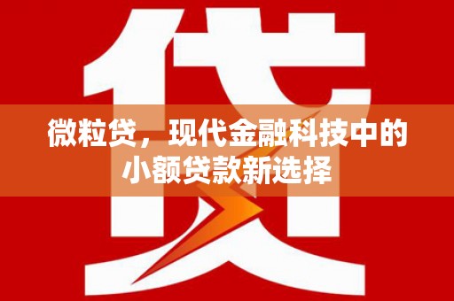 狮潭微粒贷，现代金融科技中的小额贷款新选择