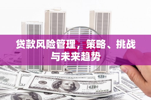 狮潭贷款风险管理，策略、挑战与未来趋势