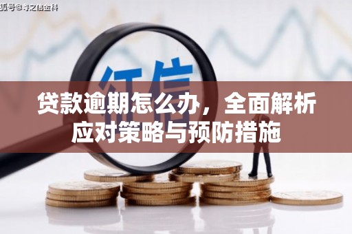狮潭贷款逾期怎么办，全面解析应对策略与预防措施