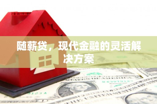 狮潭随薪贷，现代金融的灵活解决方案
