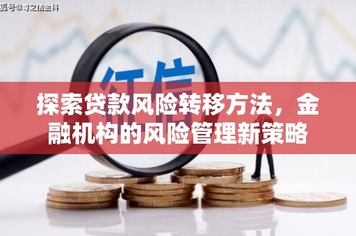 狮潭探索贷款风险转移方法，金融机构的风险管理新策略