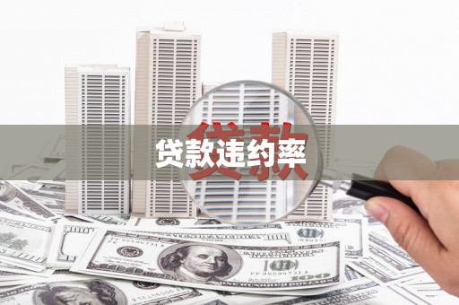 狮潭贷款违约率