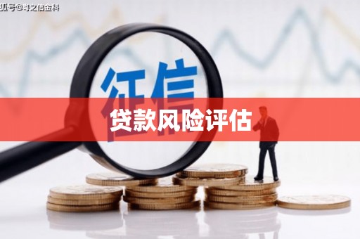 狮潭贷款风险评估