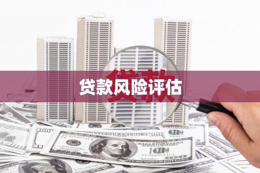 狮潭贷款风险评估