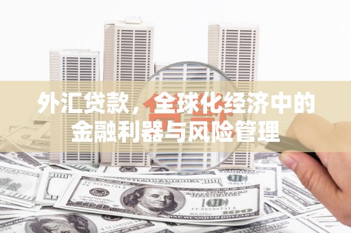 狮潭外汇贷款，全球化经济中的金融利器与风险管理