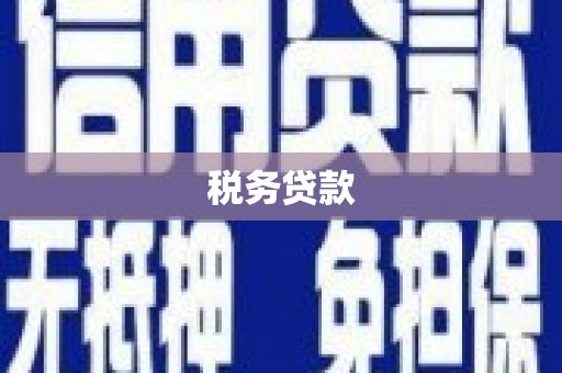 狮潭税务贷款