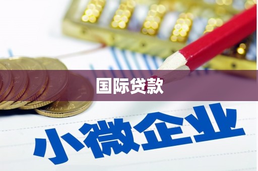 狮潭国际贷款