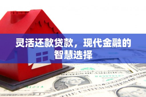 狮潭灵活还款贷款，现代金融的智慧选择